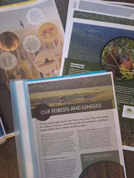 Bild in der Beschreibung des Unterrichtsmaterials Reading Comprehension: Forests & Jungles (B1+/B2 Level) von Teacher_SB #1