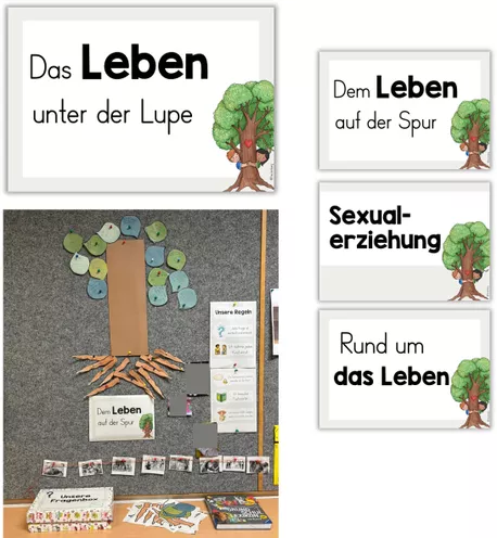 Bild in der Beschreibung des Unterrichtsmaterials Themenplakat Sexualunterricht von FreuleinBerg #1