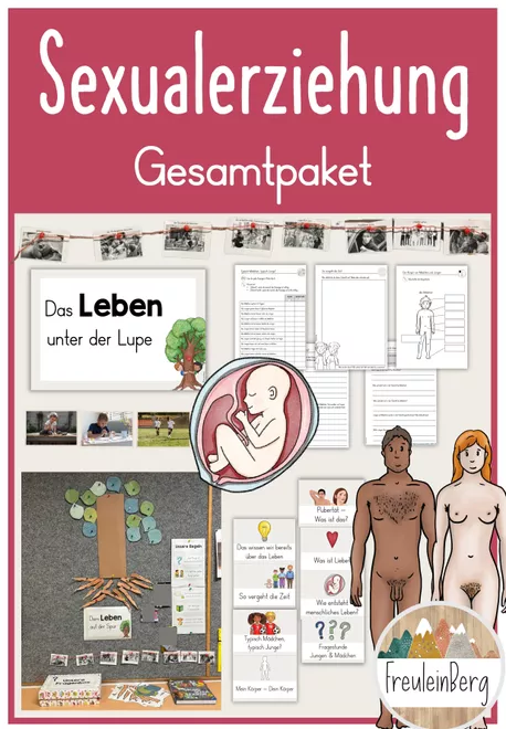 Bild in der Beschreibung des Unterrichtsmaterials Themenplakat Sexualunterricht von FreuleinBerg #2