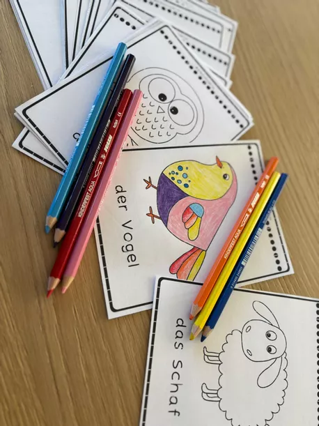Bild in der Beschreibung des Unterrichtsmaterials FRÜHLING - Wortschatz - Bildkarten/ Flashcards von Die Schuleria #2