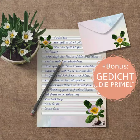 Bild in der Beschreibung des Unterrichtsmaterials Briefpapier "Primel" (4 Lineaturen) – plus Gedicht von Sinchen Media #1