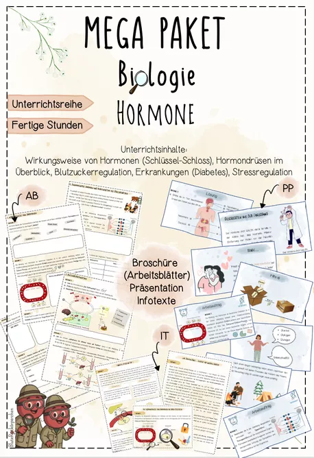 Bild in der Beschreibung des Unterrichtsmaterials Hormone: Schlüssel-Schloss-Prinzip, Hormondrüsen, Diabetes, Stressreaktion | Biologie 8 | sofort einsetzbare stressfreie Unterrichtsreihe | Forscherheft von BluteRotkörperchen #1
