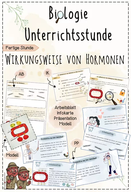 Bild in der Beschreibung des Unterrichtsmaterials Hormone: Schlüssel-Schloss-Prinzip / Biologie 8 Legemodell von BluteRotkörperchen #1