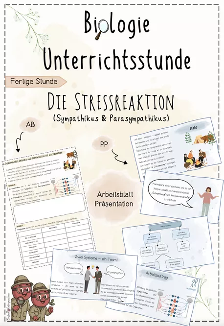 Bild in der Beschreibung des Unterrichtsmaterials Hormone: Diabetes Typ 1 & 2 | Biologie 8 | fertige Unterrichtsstunde | sofort einsetzbar von BluteRotkörperchen #1