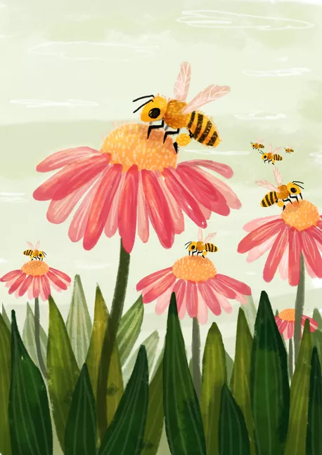 Bild in der Beschreibung des Unterrichtsmaterials Bienen-Schulheft Ecokids von ecokids #1