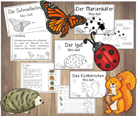 Bild in der Beschreibung des Unterrichtsmaterials Mini-Hefte Tiere (Eichhörnchen, Marienkäfer, ...) - wachsend von FreuleinBerg #1