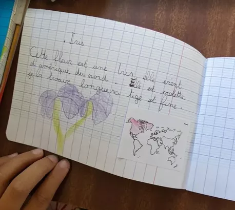 Bild in der Beschreibung des Unterrichtsmaterials Rituel plantes von Pimpmyclass #1