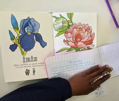Bild in der Beschreibung des Unterrichtsmaterials Rituel plantes von Pimpmyclass #2
