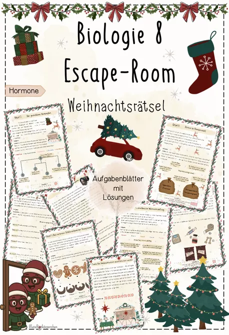 Bild in der Beschreibung des Unterrichtsmaterials Hormone in der Adventszeit (Cortisol, Melatonin, Seratonin, Dopamin, Oxytocin) - Weihnachten | Biologie 8 | fertige Unterrichtsstunde | sofort einsetzbar von BluteRotkörperchen #2