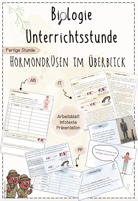 Bild in der Beschreibung des Unterrichtsmaterials Hormone: Wirkungsweise von Hormonen | Biologie 8 | fertige Unterrichtsstunde | sofort einsetzbar von BluteRotkörperchen #1