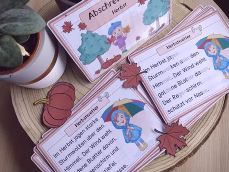 Bild in der Beschreibung des Unterrichtsmaterials Herbst: Abschreibkarten für Klasse 2 (2-fach differenziert) von Papillionis #1
