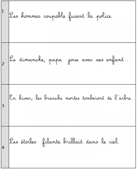 Bild in der Beschreibung des Unterrichtsmaterials Les accords dans le GN et le GV von Le cartable de Patricia #5