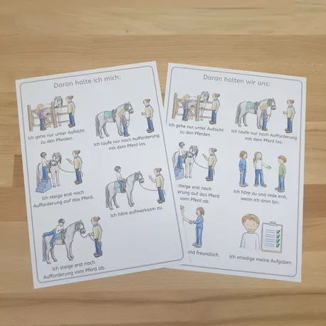 Bild in der Beschreibung des Unterrichtsmaterials Verhaltensregeln für ADHS-Einzeltraining, ADHS-Gruppentraining und Reittherapie von Seppiswelt #3