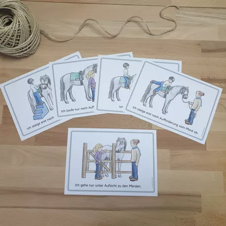 Bild in der Beschreibung des Unterrichtsmaterials Verhaltensregeln für ADHS-Einzeltraining, ADHS-Gruppentraining und Reittherapie von Seppiswelt #1