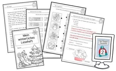 Bild in der Beschreibung des Unterrichtsmaterials Leseheft Winter (Winterliches Leseheft) - Klasse 3 von Frau Espunkt #1