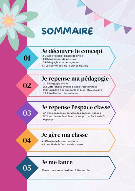 Bild in der Beschreibung des Unterrichtsmaterials CLASSE FLEXIBLE, LE GUIDE INFOGRAPHIQUE von une_prof_passionnee #2