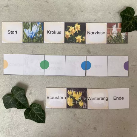 Bild in der Beschreibung des Unterrichtsmaterials Domino Frühblüher mit Selbstkontrolle von Schlaufuechsin #1