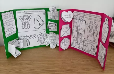 Bild in der Beschreibung des Unterrichtsmaterials Komplettpaket Sexualerziehung / Sexuelle Bildung mit Lapbook & Wissenskartei von Odd Bird & Company #2