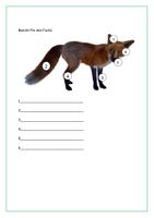Alles rund um den Fuchs - inkl Steckbrief und Lösung ...