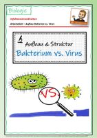 Bakterium Vs Virus Aufbau Und Struktur Unterrichtsmaterial Im Fach Biologie Bakterium Vs Virus Aufbau Und Struktur Unterrichtsmaterial Im Fach Biologie