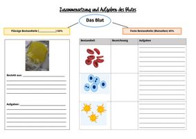 Blutbestandteile Im Uberblick Ab Und Text Unterrichtsmaterial Im Fach Biologie Blutbestandteile Im Uberblick Ab Und Text Unterrichtsmaterial Im Fach Biologie