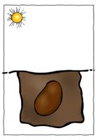 Materialpaket: Vom Samen zur Pflanze – Unterrichtsmaterial in den