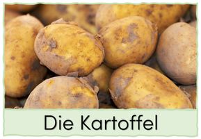 Die Kartoffel: Bild- und Wortkarten – Unterrichtsmaterial in den ...