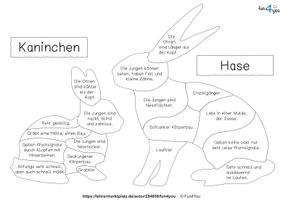 Hase oder Kaninchen - Tafelmaterial - Puzzle – Unterrichtsmaterial im