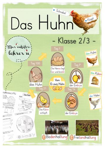 das huhn unterrichtseinheit klasse 2 3 1 Steckbrief Huhn Arbeitsblatt
Das Huhn Unterrichtseinheit Klasse 2 3 – Unterrichtsmaterial im Fach