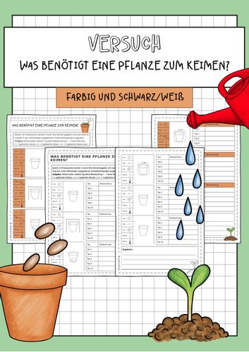 Versuch: Was benötigt eine Pflanze zum Keimen? – Unterrichtsmaterial im Fach Biologie