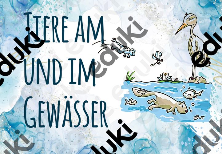 Wissenskartei 35 Tiere im und am Gewässer – Unterrichtsmaterial im Fach ...