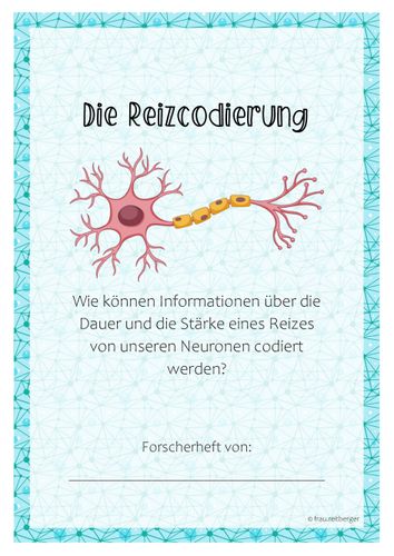 Gruppenarbeit Die Reizcodierung Unterrichtsmaterial Im Fach Biologie Gruppenarbeit Die Reizcodierung Unterrichtsmaterial Im Fach Biologie