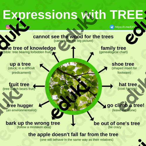 Idiomatic Expression Using Tree Tree idioms - material de la siguiente asignatura English / Inglés