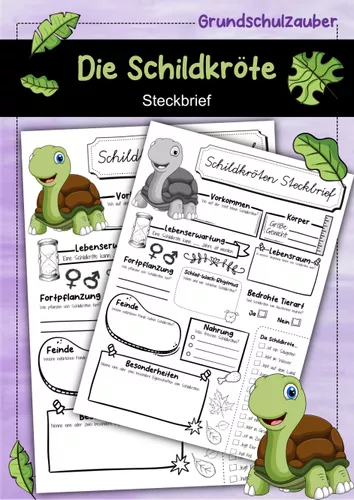 Steckbrief Schildkr te Unterrichtsmaterial In Den F chern steckbrief-schildkr-te-unterrichtsmaterial-in-den-f-chern