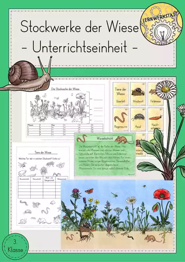 Stockwerke Der Wiese Unterrichtseinheit Unterrichtsmaterial Im Fach stockwerke-der-wiese-unterrichtseinheit-unterrichtsmaterial-im-fach