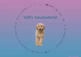 Toffi's Schulmaterial