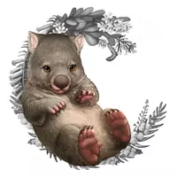 Grundschulwombat