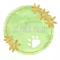 MsPhoebePheebs