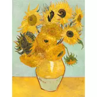 Girasole 