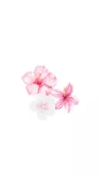Métier qui ne cesse de fleurir 