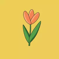 Frau Tulpe