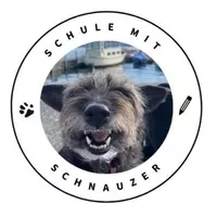 Schule mit Schnauzer