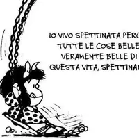 Maestra spettinata