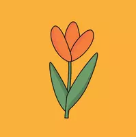Frau Tulpe