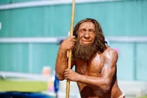 Neanderthal Museum