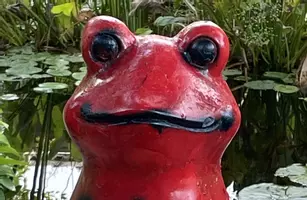 die PrüfKammer