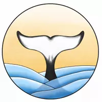 Orca Orga