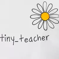 tiny_teacher