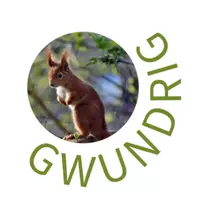 gwundrig
