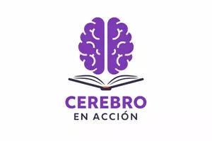 Cerebro En Acción